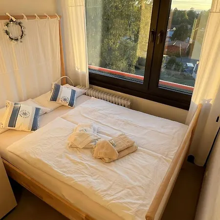 Steinhuder 1 Zi Vogelnest Am Sauna Balkon Fahrstuhl Apartment