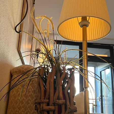 Steinhuder 1 Zi Vogelnest Am Sauna Balkon Fahrstuhl Apartment