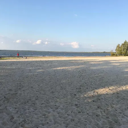 Steinhuder 1 Zi Vogelnest Am Sauna Balkon Fahrstuhl * Wunstorf