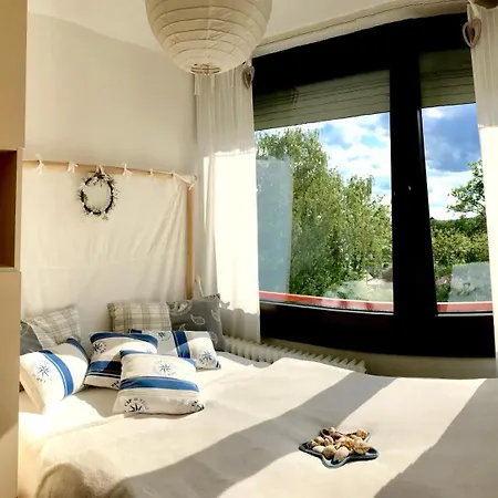Steinhuder 1 Zi Vogelnest Am Sauna Balkon Fahrstuhl *