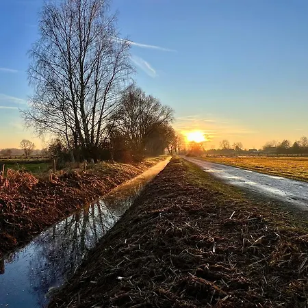 Steinhuder 1 Zi Vogelnest Am Sauna Balkon Fahrstuhl Apartment *
