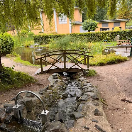 Steinhuder 1 Zi Vogelnest Am Sauna Balkon Fahrstuhl Apartment