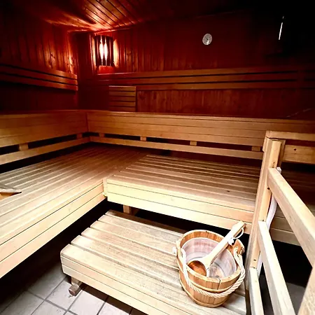 Apartment Steinhuder 1 Zi Vogelnest Am Sauna Balkon Fahrstuhl