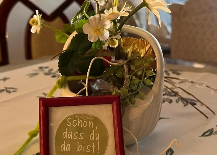 Steinhuder 1 Zi Vogelnest Am Sauna Balkon Fahrstuhl * فونستورف