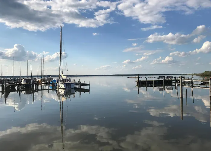 Steinhuder 1 Zi Vogelnest Am Sauna Balkon Fahrstuhl شقة *