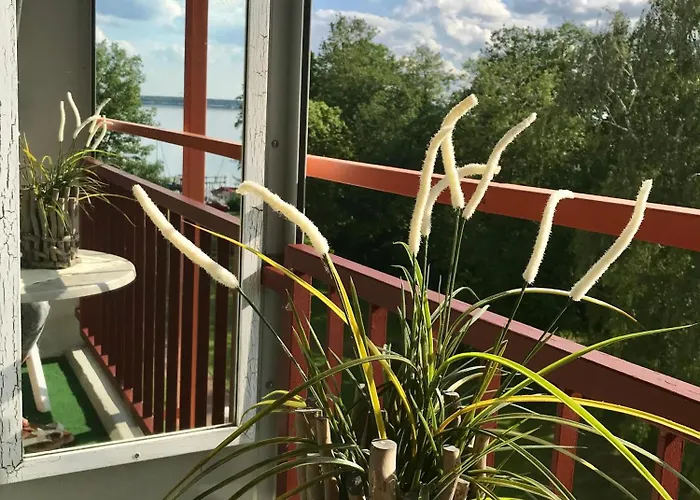 Steinhuder 1 Zi Vogelnest Am Sauna Balkon Fahrstuhl Daire Wunstorf