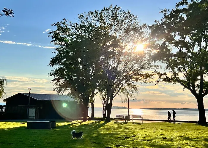 Steinhuder 1 Zi Vogelnest Am Sauna Balkon Fahrstuhl *