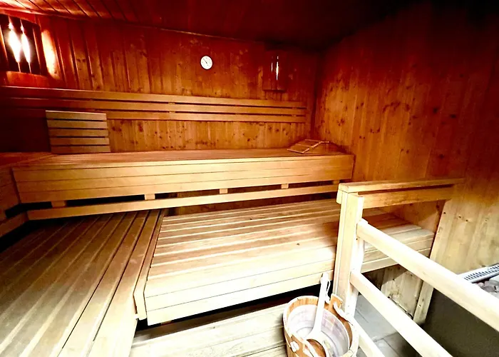 Steinhuder 1 Zi Vogelnest Am Sauna Balkon Fahrstuhl Daire