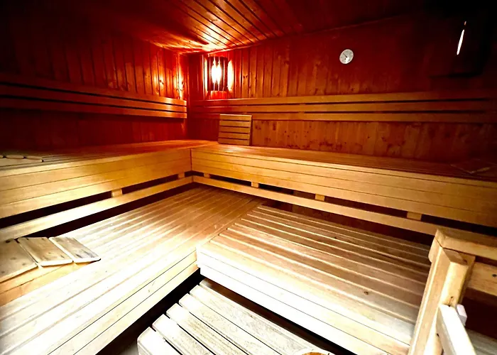 Steinhuder 1 Zi Vogelnest Am Sauna Balkon Fahrstuhl Wunstorf